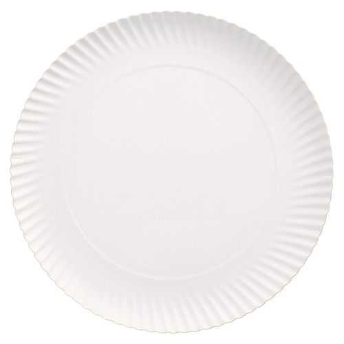 2 x 100 Pappteller "pure" rund Ø 29 cm · 2 cm weiss