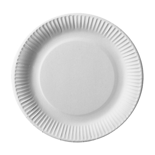 6 x 100 Pappteller "pure" rund Ø 23 cm weiss