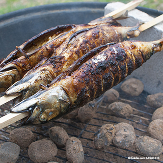 10 x 20 Grill-Spieße 80 cm x 8 mm x 8 mm "Steckerlfisch"