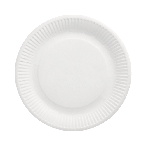 6 x 100 Pappteller "pure" rund Ø 23 cm weiss