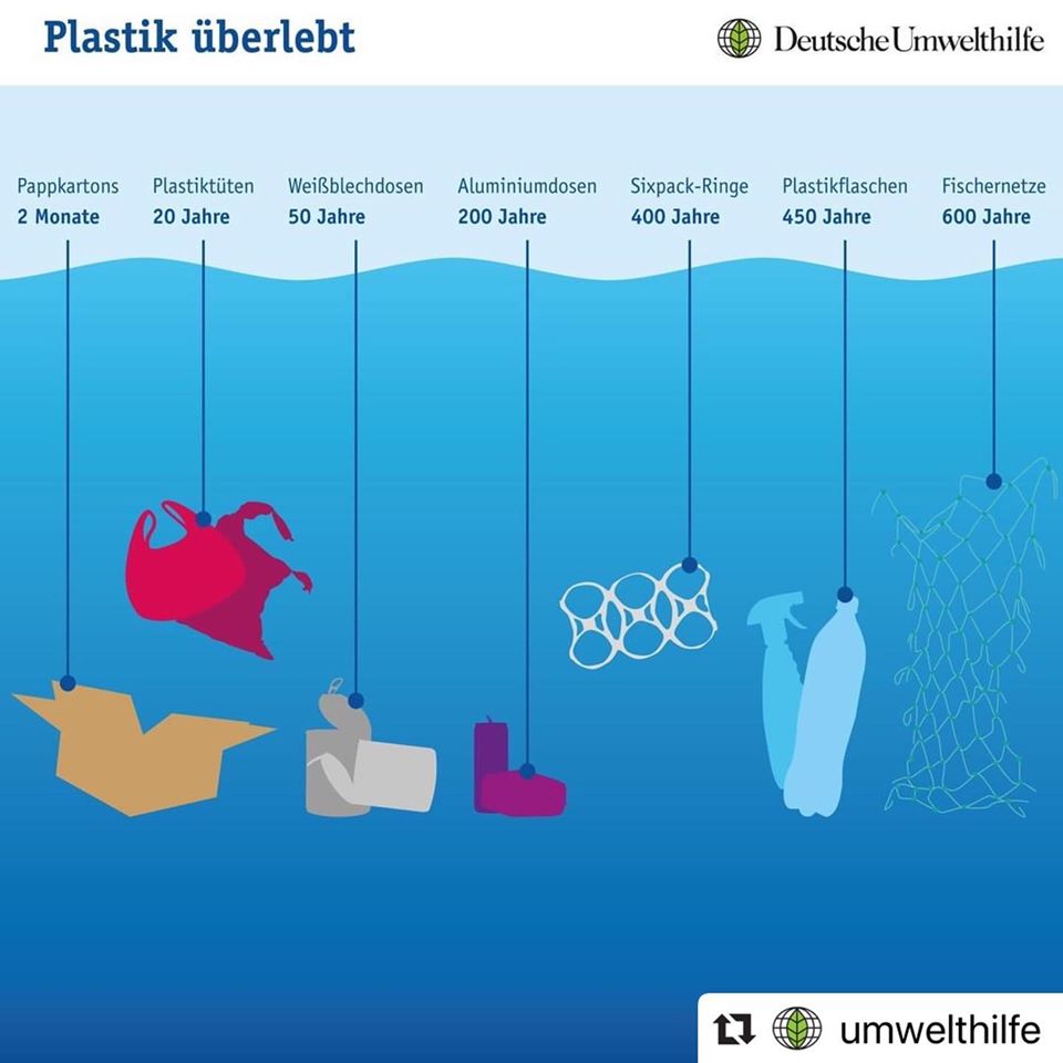 dishio - Einweggeschirr - Bio | Zerfallsdauer Plastik- Wie lange bleibt